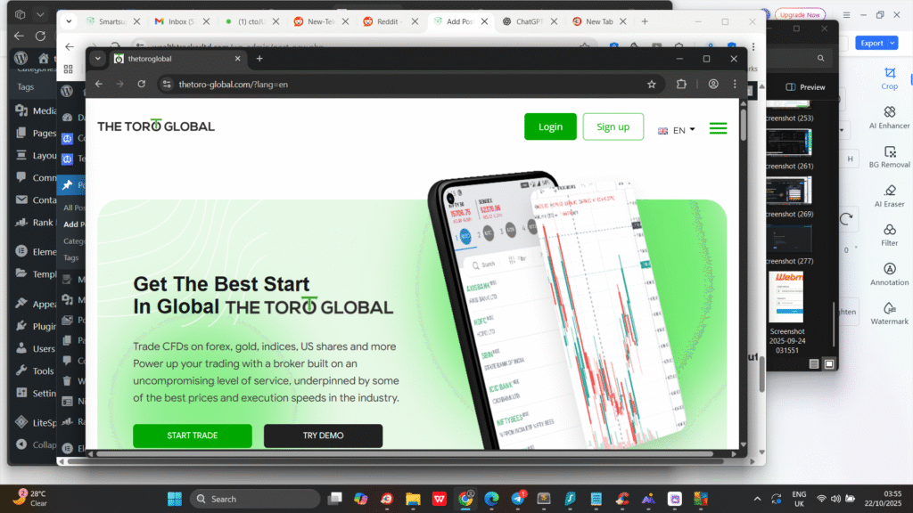 TheToro-Global.com