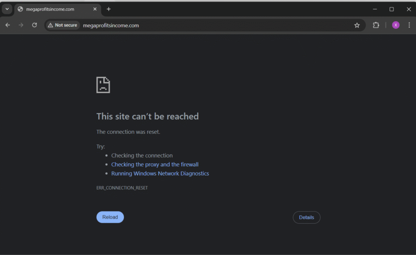 MegaProfitsIncome.com : Investor Warning