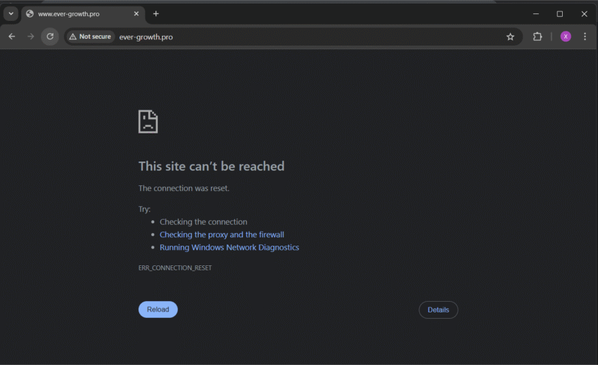 ever-growth.pro: Investor Warning