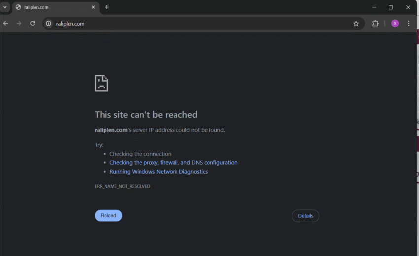 Raliplen.com Scam (2025): Investor Warning