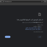 bluechipusa.com
